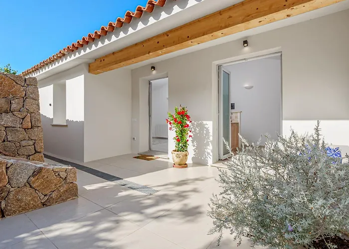 La Maddalena 8&1, Vasilius